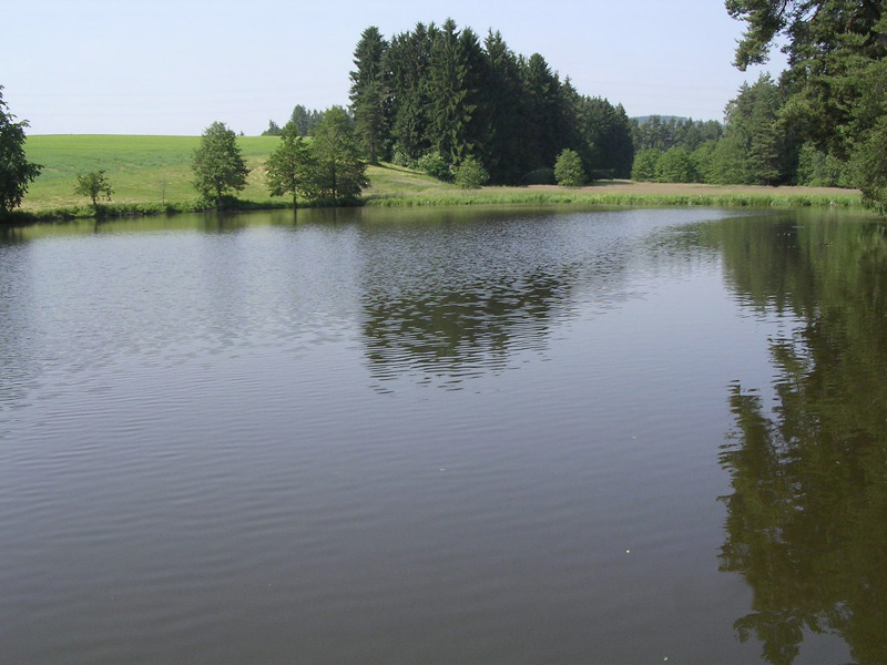 Ředkovec - Foto č. 1