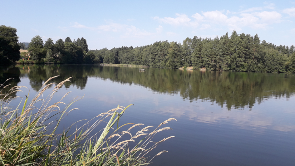 Fotografie Rybník Ředkovec konec sezóny