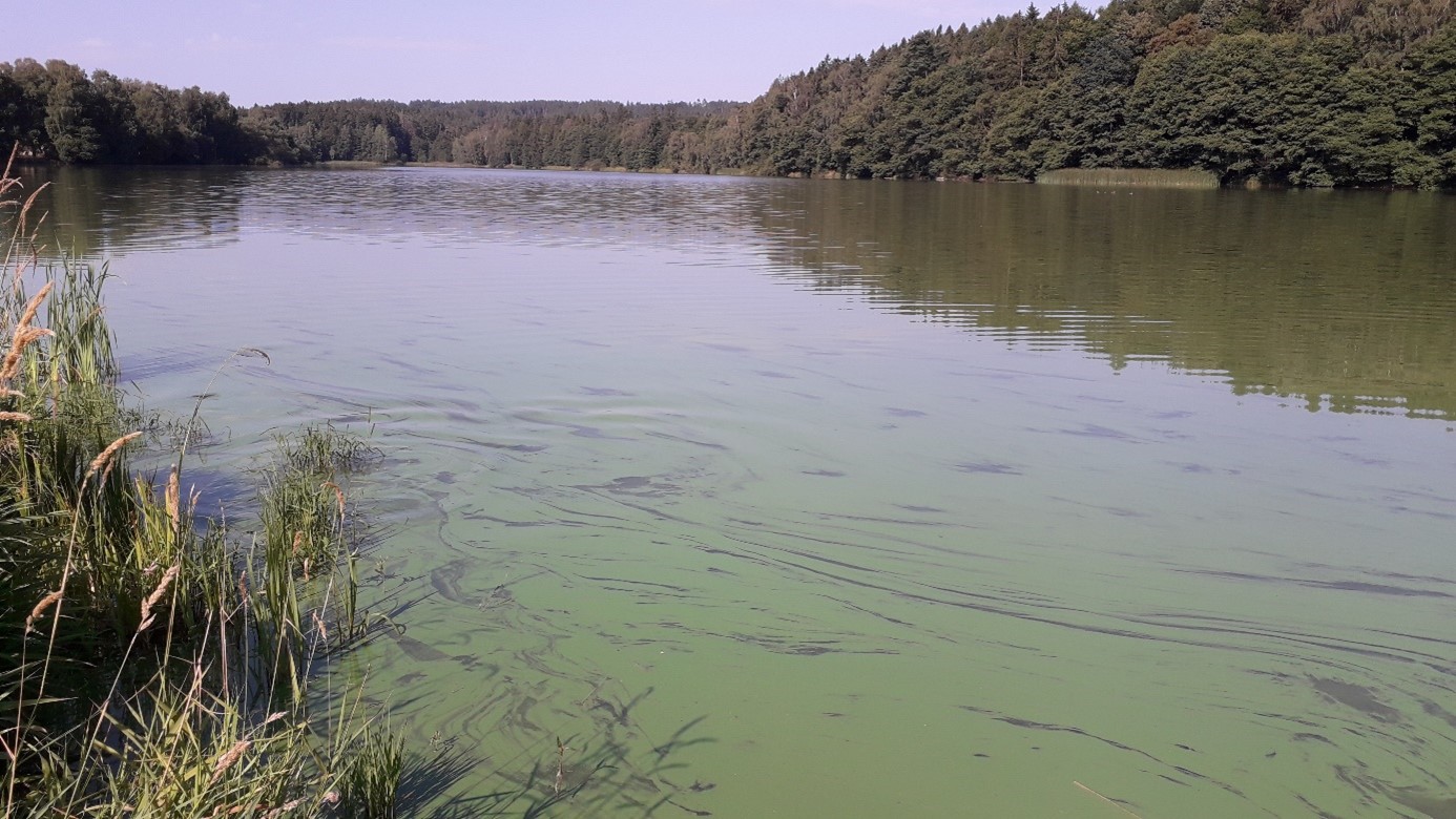 fotografie zákaz koupání rybník Kachlička