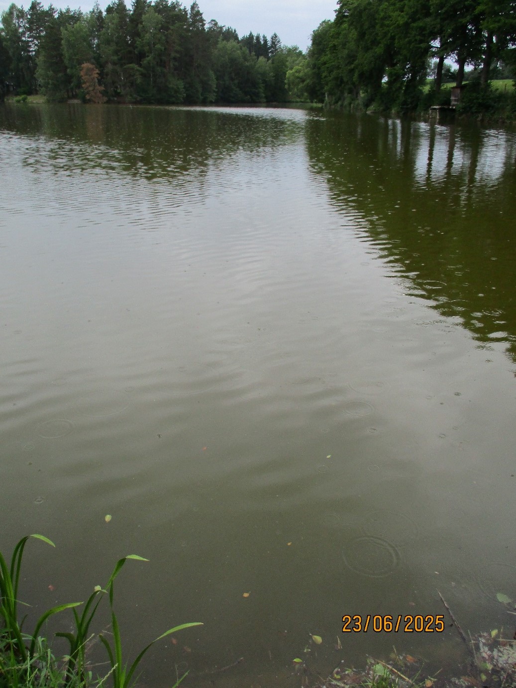snímek rybník Ředkovec, 23.6.2025