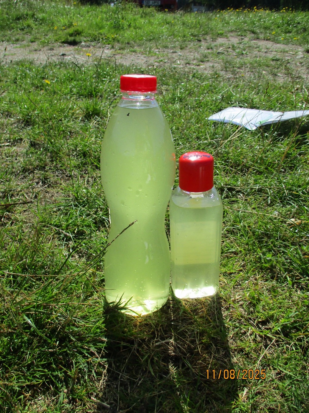 Rybník Kachlička vzorky vody 11.8.