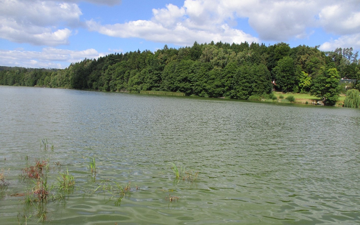 Snímek rybník Kachlička 25.8.25