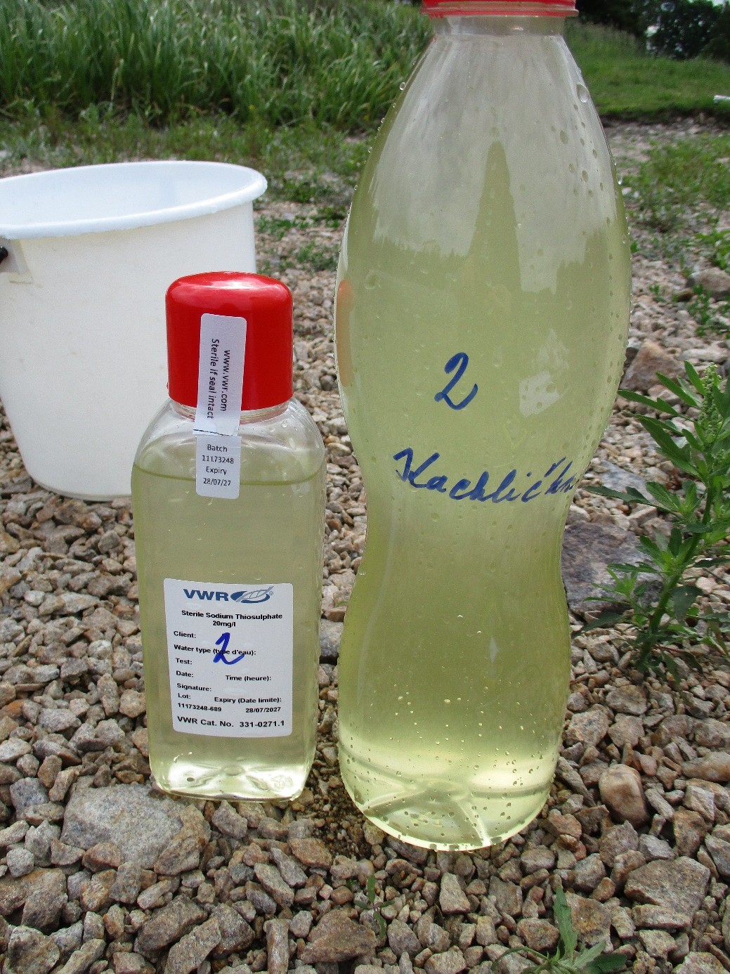 snímek rybník Kachlička, detail vzorků vody, 15.6.26