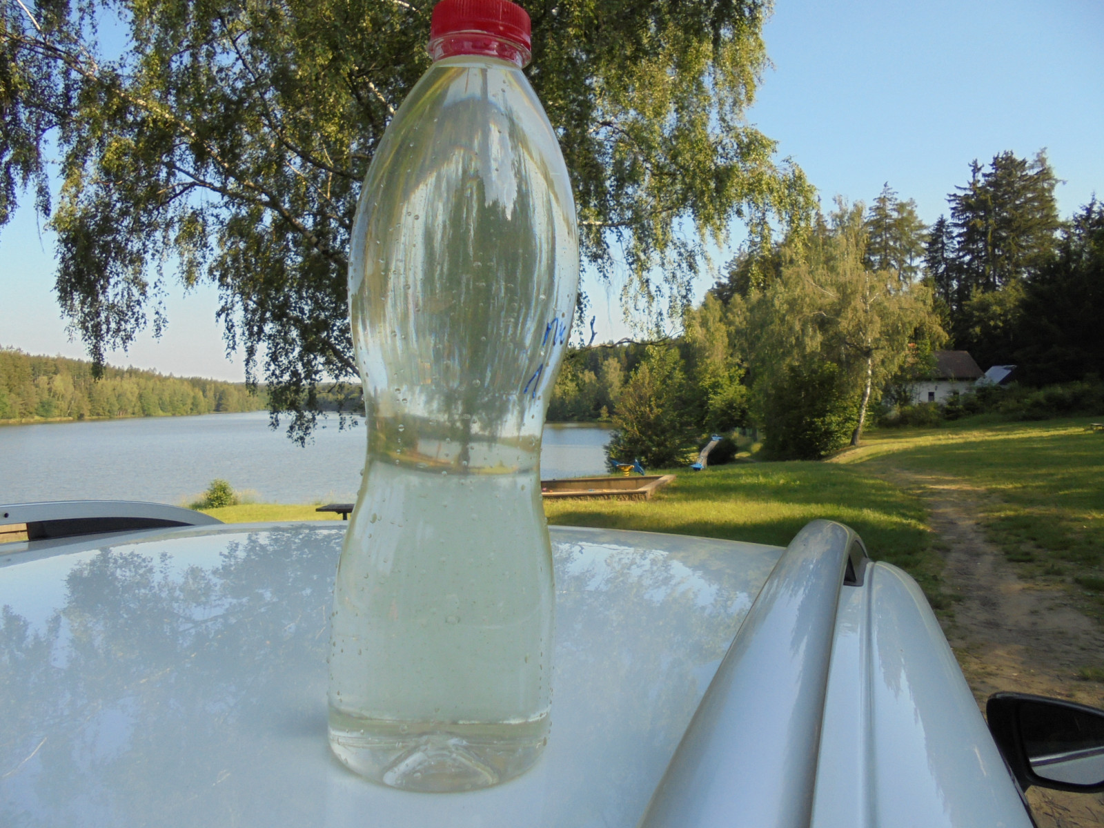 snímek Domanínský rybník, odebraný vzorek vody 22.6.